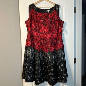 Dress Barn fit & flare